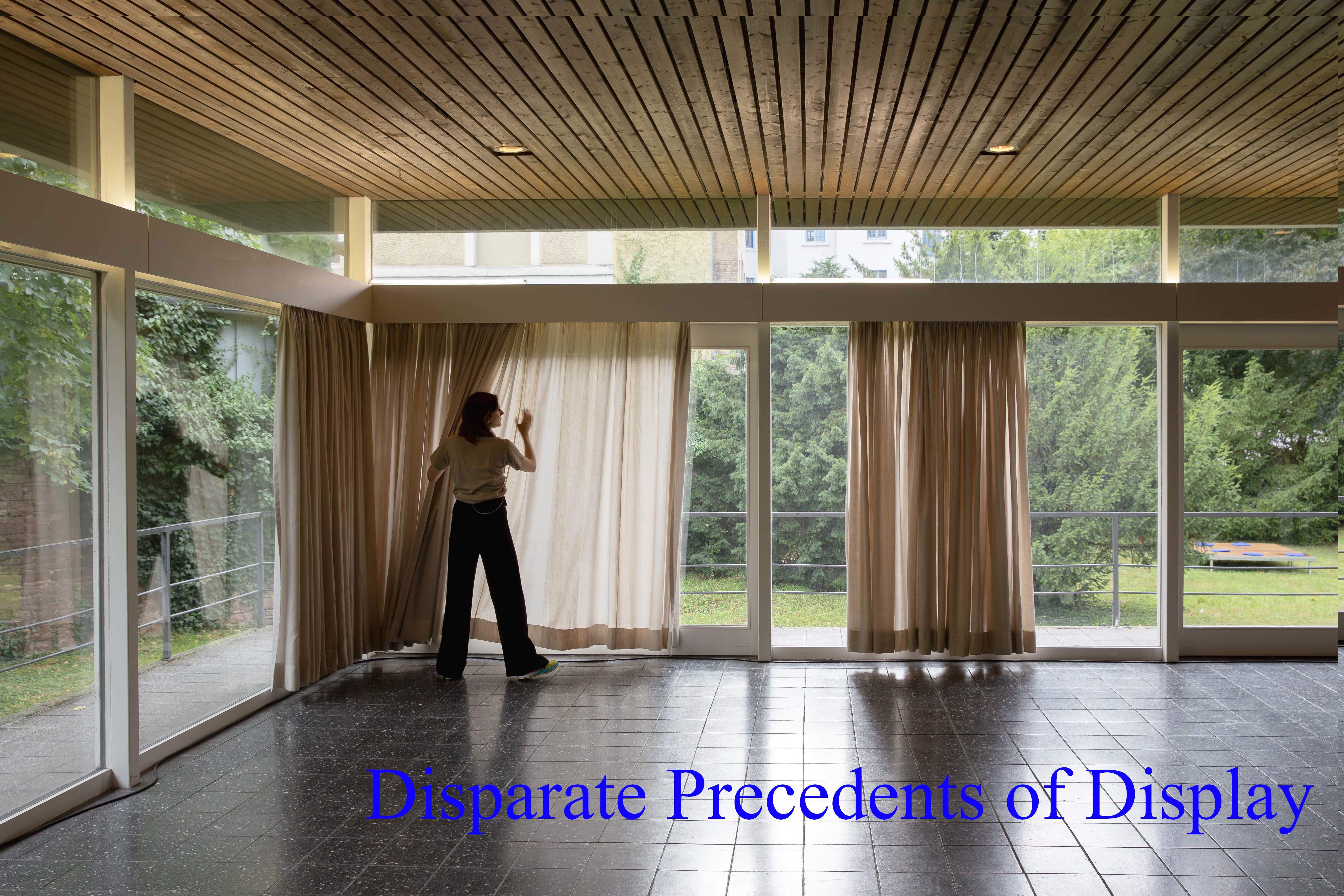 Disparate Precedents of Display